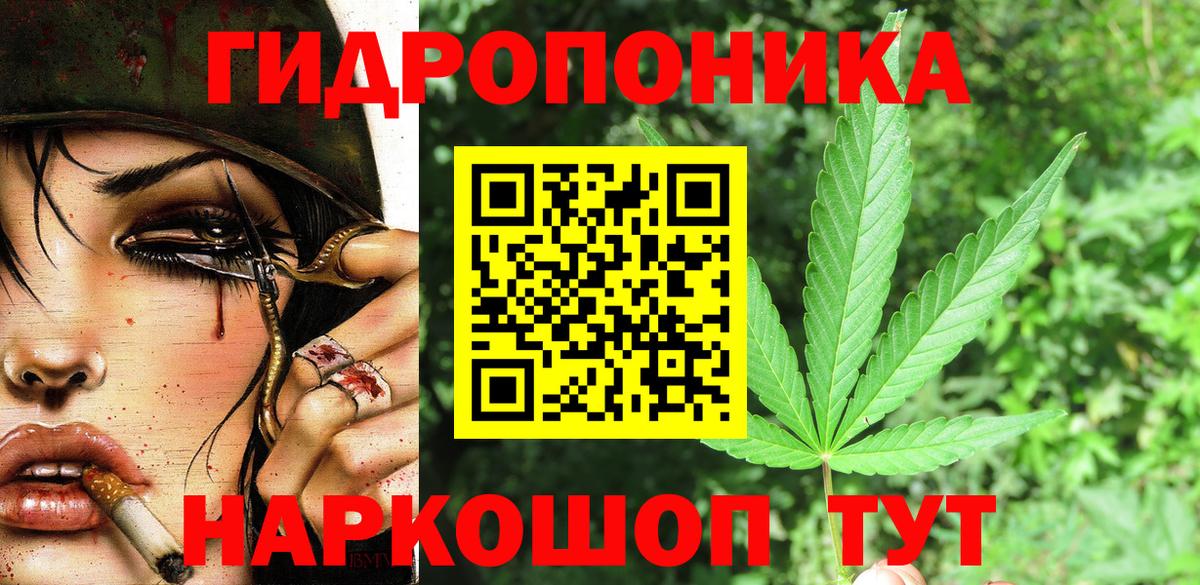 Бошки марихуана Amnesia Углич